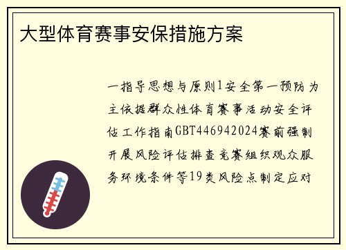 大型体育赛事安保措施方案